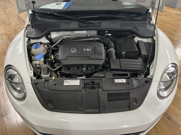 Volkswagen Beetle - – Image 8