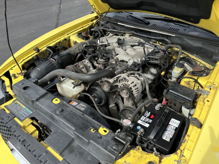 Ford Mustang - – Image 10