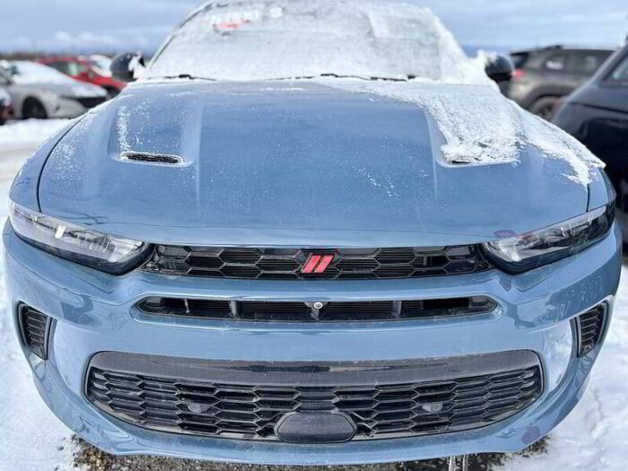 Dodge Hornet VHR R/t Plus – Image 3