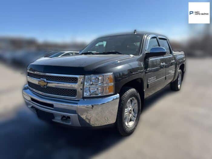Chevrolet Silverado 1500 LS Cheyenne Edition – Image 19