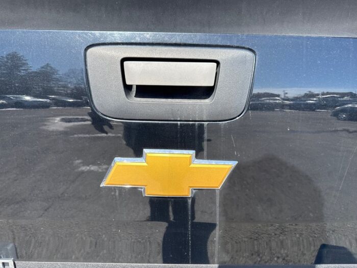 Chevrolet Silverado 1500 LS Cheyenne Edition – Image 8
