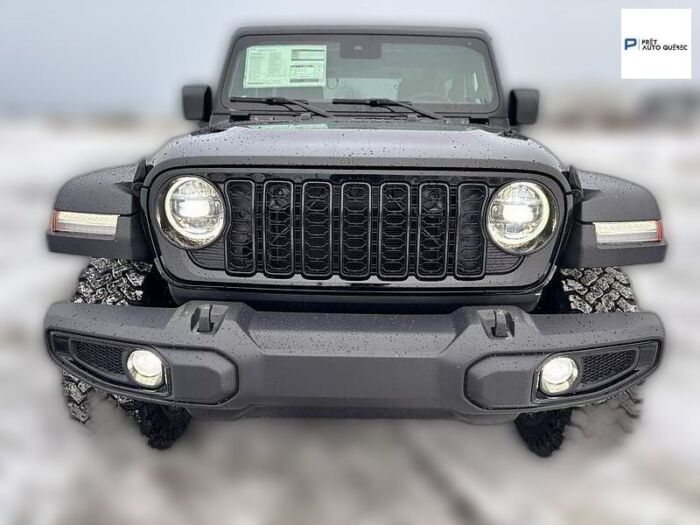 Jeep Wrangler Willys – Image 3