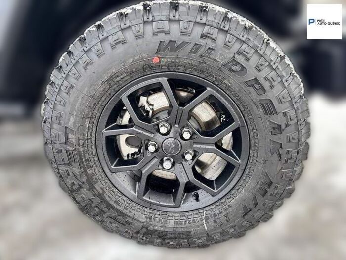 Jeep Wrangler Willys – Image 10