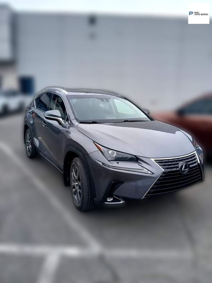 Lexus NX NX 300 /LE LUXE A VOTRE PORTÉ/8MAGS ET PNEU - Image 10