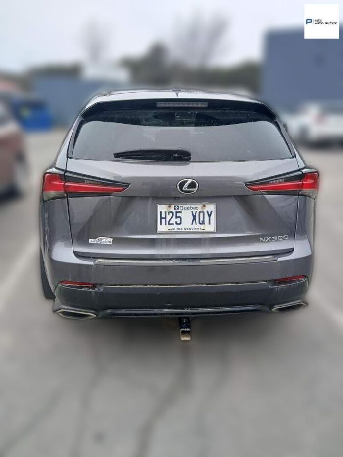 Lexus NX NX 300 /LE LUXE A VOTRE PORTÉ/8MAGS ET PNEU - Image 8